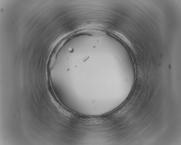 X0000073710980200608311750