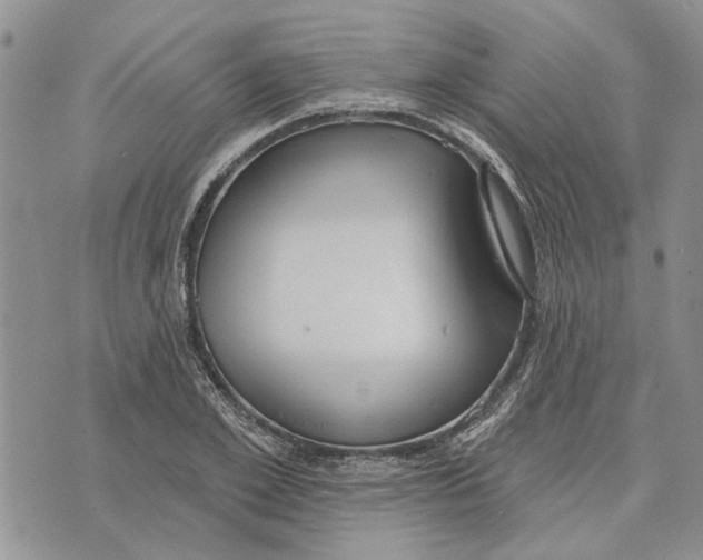 X0000073710981200608311750