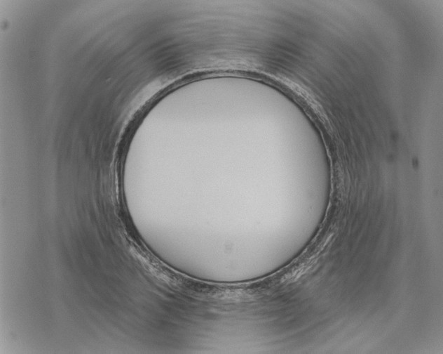 X0000073710982200608311750