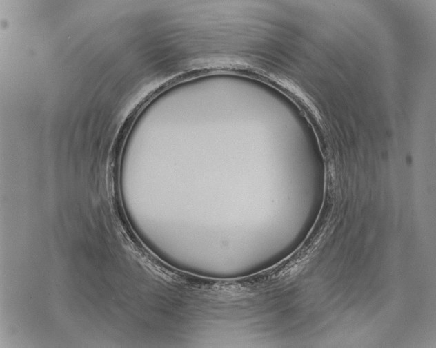 X0000073710983200608311750