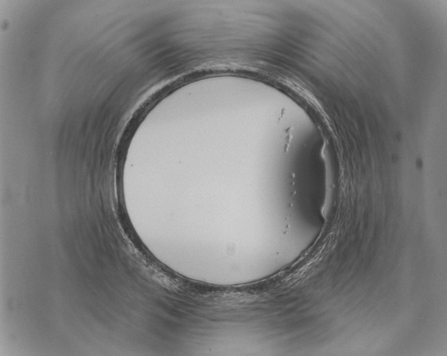 X0000073710984200608311750