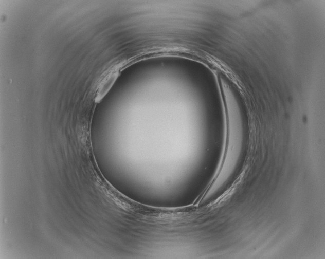 X0000073710985200608311750