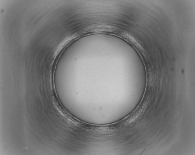 X0000073710986200608311750