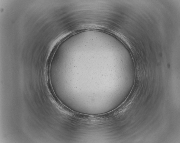 X0000073710987200608311750