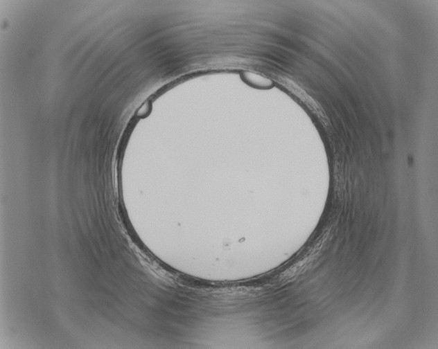 X0000073710988200608311750