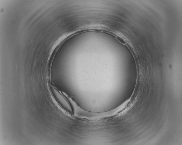 X0000073710989200608311750