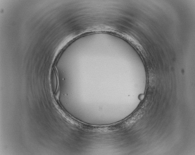 X0000073710990200608311750