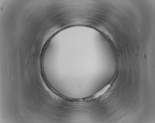 X0000073710991200608311750