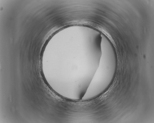 X0000073710992200608311750