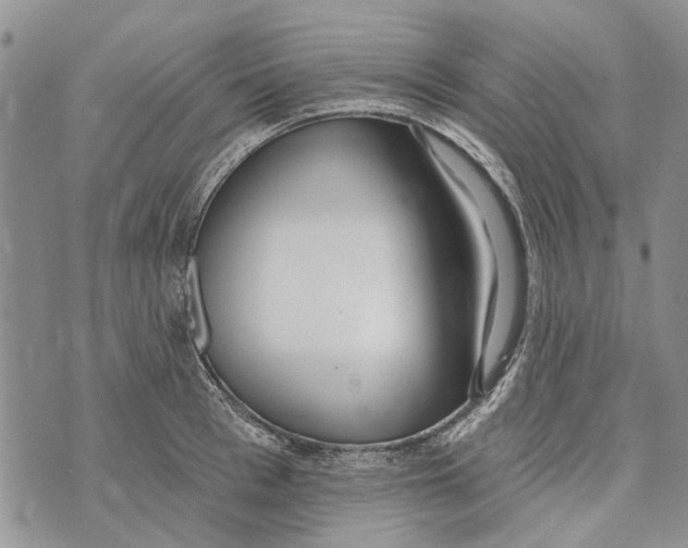 X0000073710993200608311750