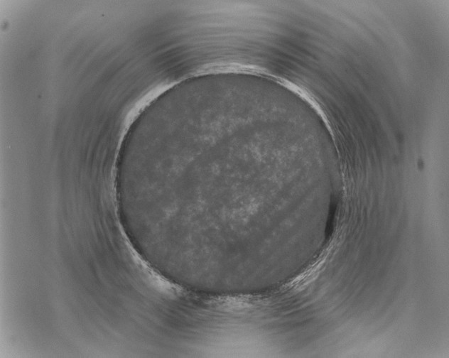 X0000073710995200608311750