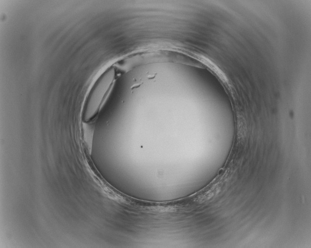 X0000073710996200608311750