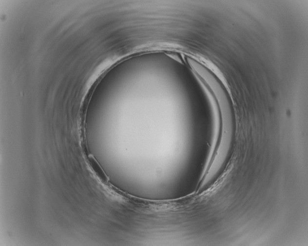 X0000073710997200608311750