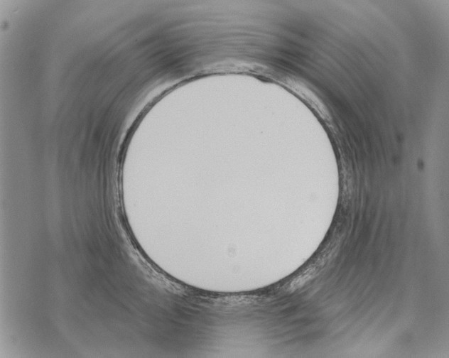 X0000073711000200608311750