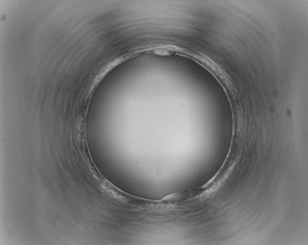 X0000073711001200608311750