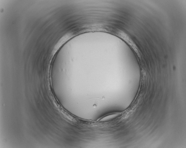 X0000073711002200608311750