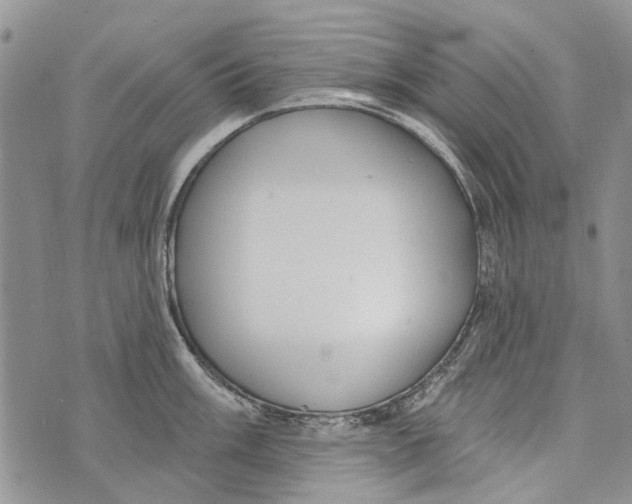 X0000073711003200608311750