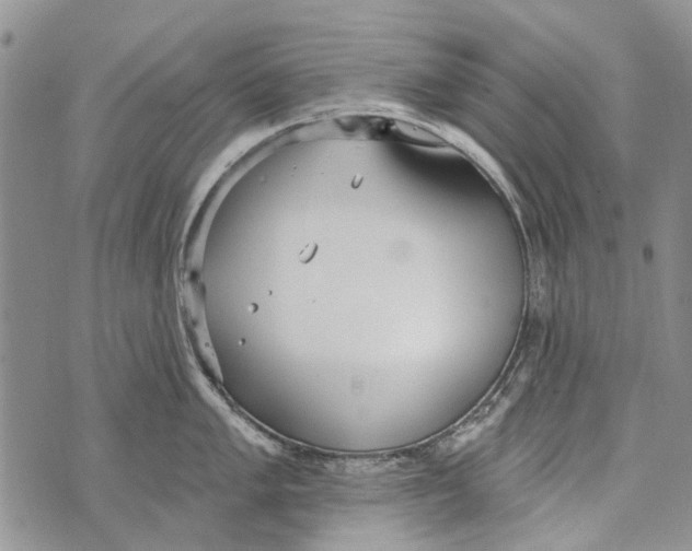 X0000073711005200608311750