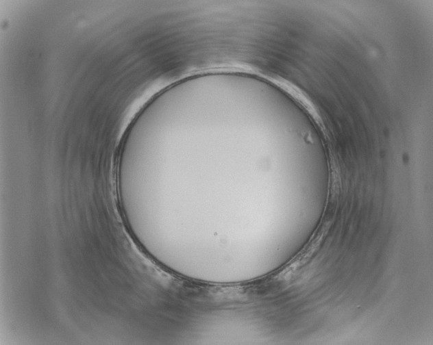 X0000073711006200608311750