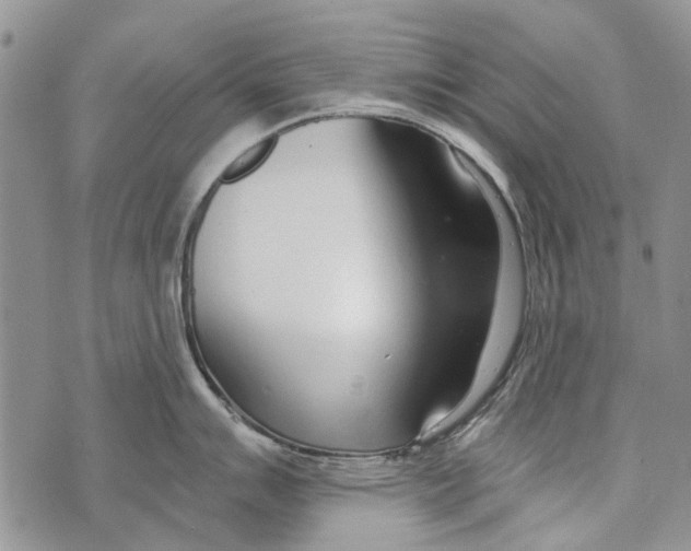 X0000073711007200608311750