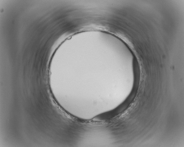 X0000073711008200608311750