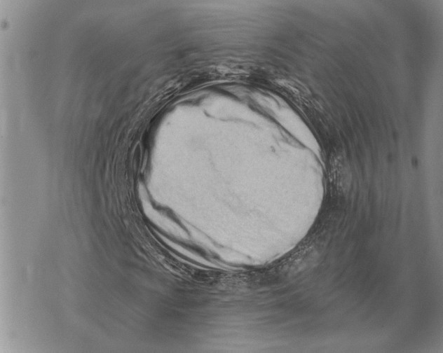 X0000073711009200608311749