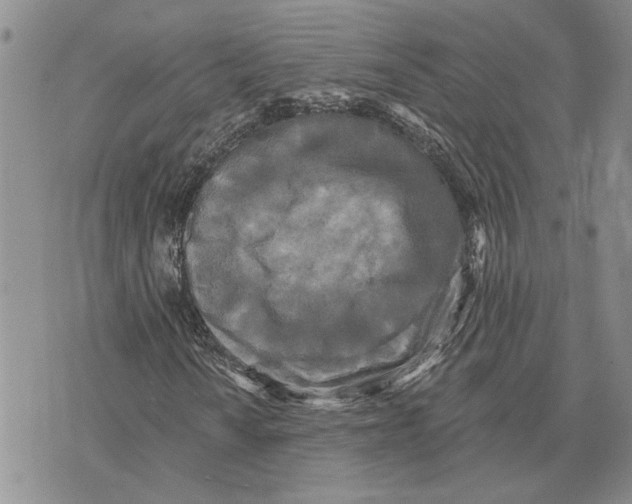 X0000073711010200608311749