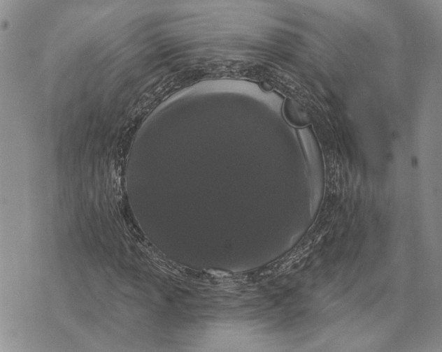 X0000073711013200608311749