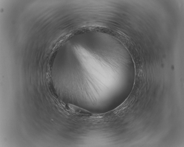 X0000073711014200608311749