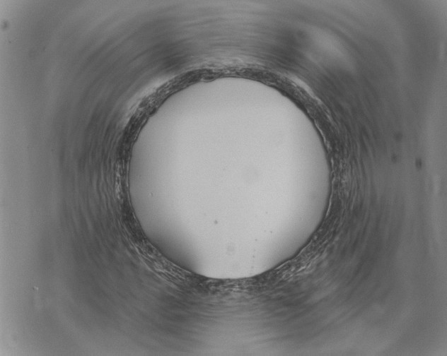 X0000073711016200608311749