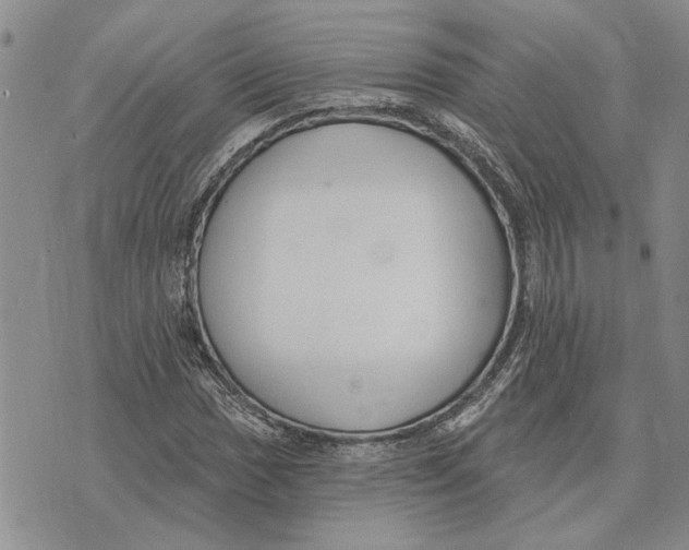 X0000073711017200608311749