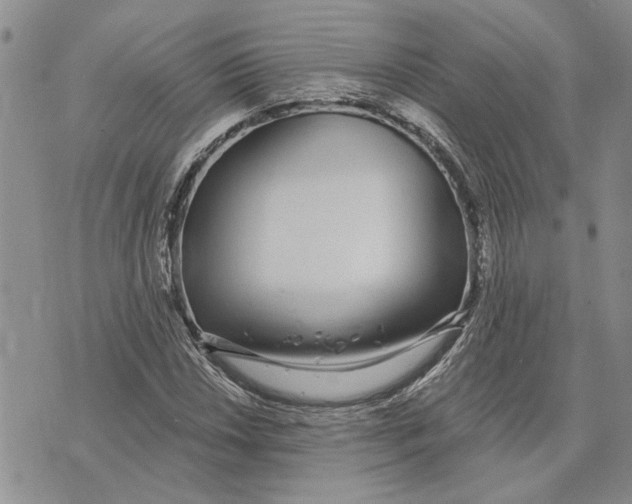 X0000073711018200608311749