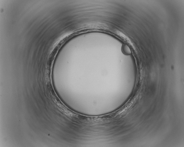 X0000073711019200608311749