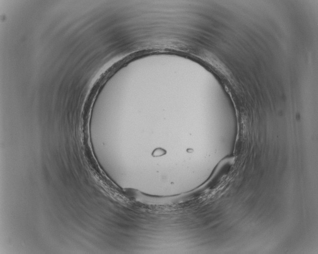 X0000073711020200608311749