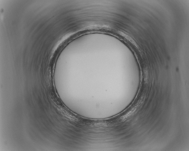 X0000073711021200608311749