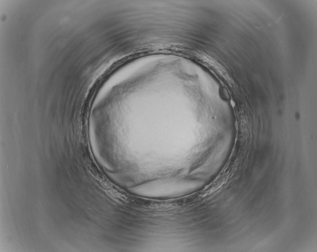 X0000073711023200608311749