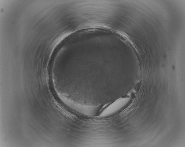 X0000073711024200608311749