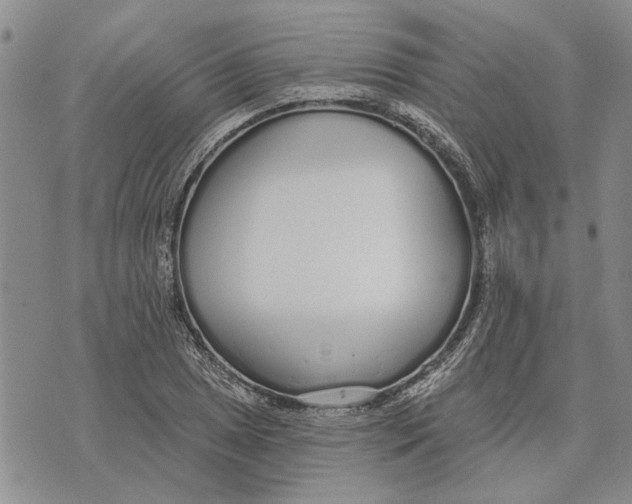 X0000073711025200608311749