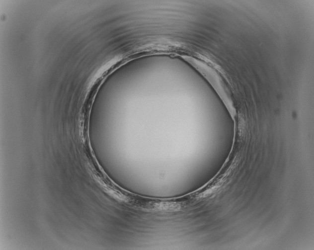 X0000073711026200608311749