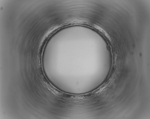 X0000073711027200608311749