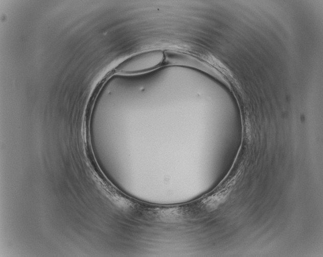 X0000073711028200608311749