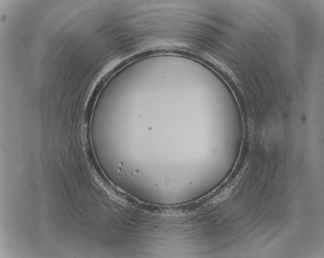 X0000073711029200608311749