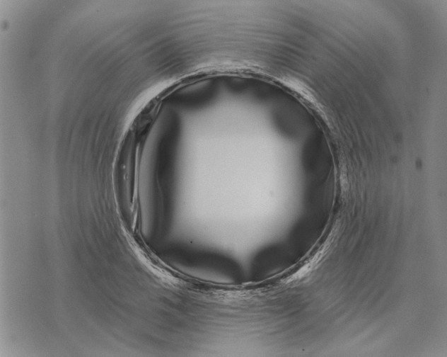 X0000073711030200608311749