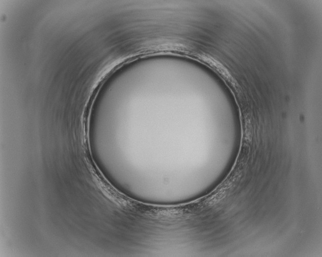 X0000073711031200608311749