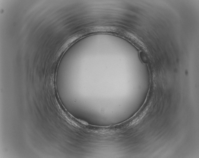 X0000073711033200608311749