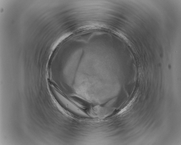 X0000073711034200608311749