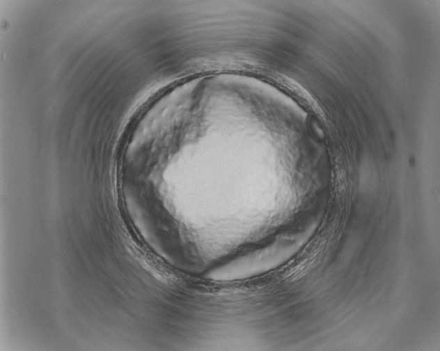 X0000073711035200608311749