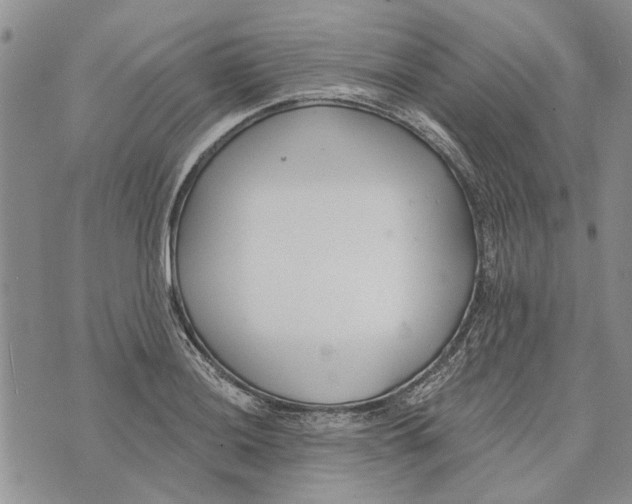 X0000073711036200608311749