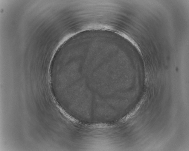 X0000073711037200608311749