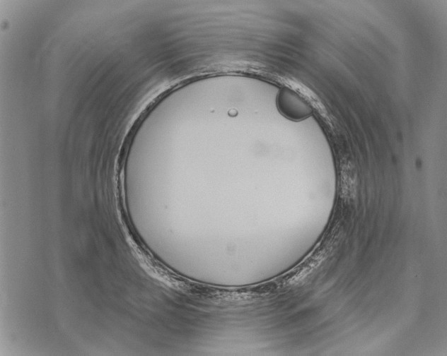 X0000073711039200608311749